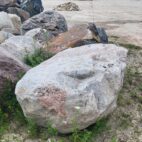 Character Boulders