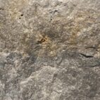 Rustic Gold Mixed Color Wallstone