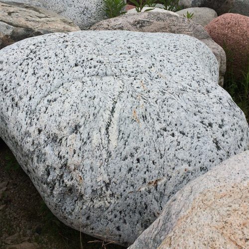Wisconsin Granite Character Boulder 3
